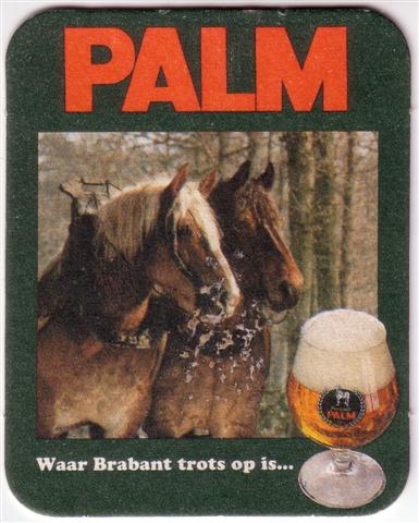 londerzeel vb-b palm palm recht 1a (200-2 pferde)